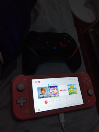 Nintendo Switch Lite Coral