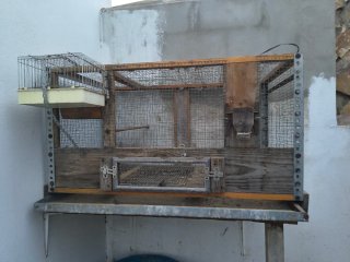 Jaula para Aves