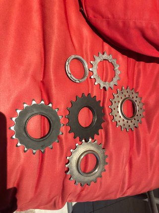 Lote de 5 piñones para Bicicleta Fixie