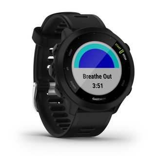 Reloj GPS GARMIN FORERUNNER 55 - Negro