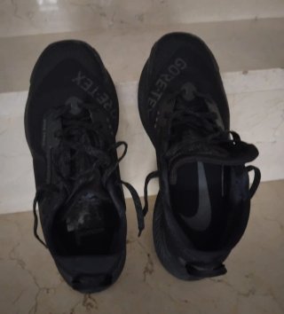 Zapatillas Nike Pegasus Trail Gore-Tex