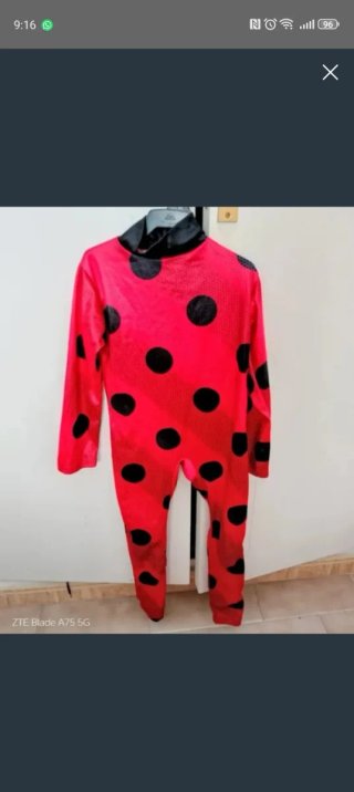 Disfraz Infantil ~Ladybug~
