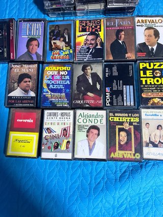 Lote de Casetes Antiguos Música Variada