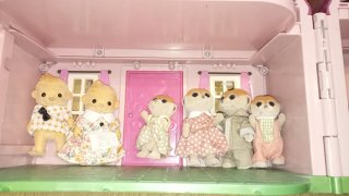 Lote Sylvanian Families Casa con Tobogán