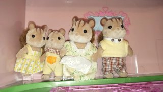 Lote Sylvanian Families Casa con Tobogán