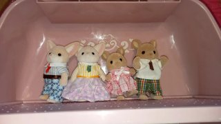 Lote Sylvanian Families Casa con Tobogán