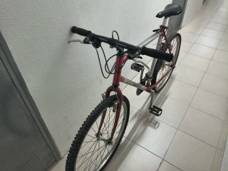 2 Bicicletas montaña aluminio + Maleta