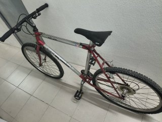 2 Bicicletas montaña aluminio + Maleta