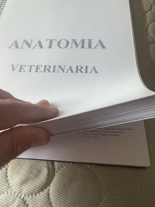 Medicina veterinaria