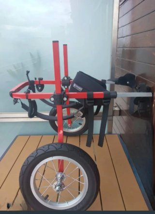 Silla de ruedas para perro