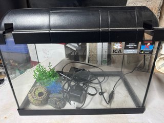 Acquario con coperchio e accessori