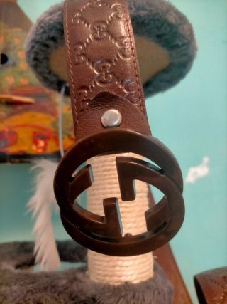 Cinturón Gucci Marrón GG Hebilla Doble G