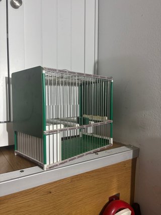 Jaula para pájaros personaliza gucci