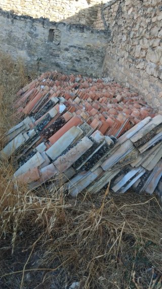 Lote de 2078 Tejas (1800 Normales y 278 Árabes)