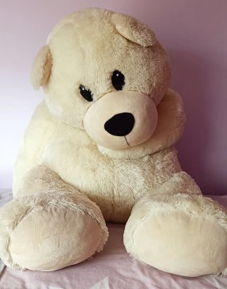 Regalo Oso Peluche Grande 60x75. Recogida 48h
