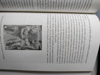 Libro "La guerra mundial de los romanos"