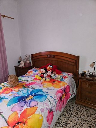 Casa en venta en Guancha (La)