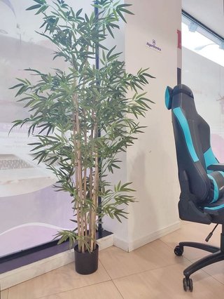 Local comercial en alquiler en Milagrosa en Pamplona