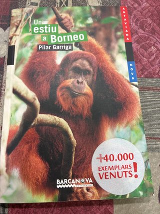 Un estiu a Borneo