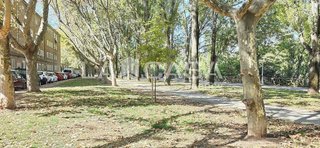 Piso en alquiler en Pº Zorrilla - Cuatro de Marzo en Valladolid