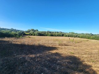 Terreno en venta en Manacor Centro en Manacor