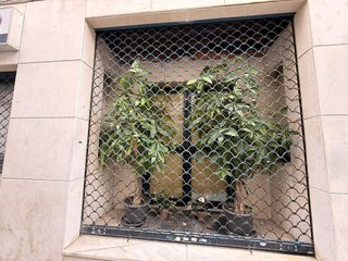 Local comercial en venta en Casco Antiguo en Algeciras