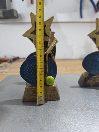Trofeo de padel, tenis de mesa