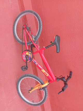 Bicicleta Infantil Roja 20