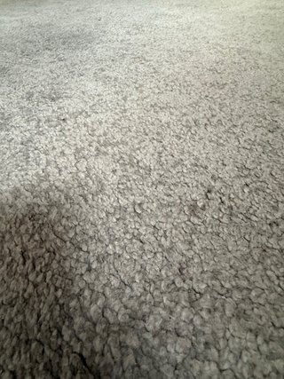 Alfombra Ikea Gris 170x240 cm Modelo Stoense