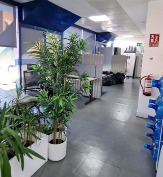 Local comercial en alquiler en Bufalà en Badalona