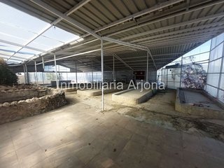 Terreno en venta en Navas del Sepillar en Lucena