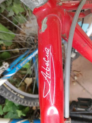 Bicicleta de Carreras Clásica Laiz
