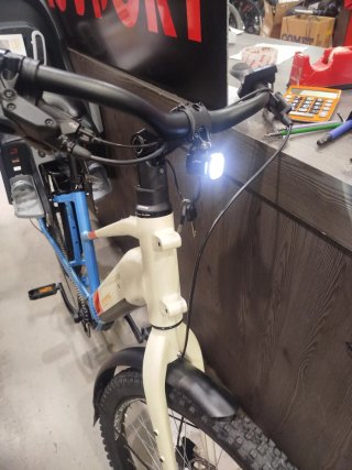 Ebike Monty cargo