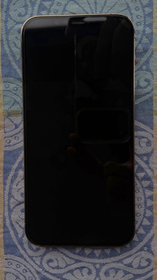 iPhone 12 Pro Max 128 GB Plata