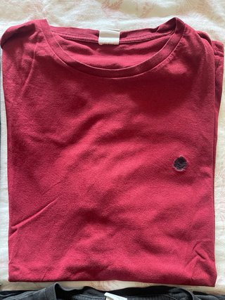Camisetas Básicas Springfield XL