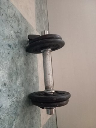 Manubri da palestra con dischi