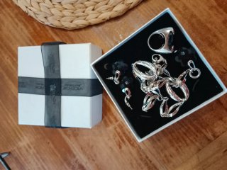 Conjunto Viceroy Plata y Morado