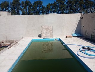 Pintor Muralista y Artístico