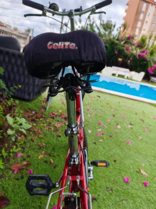 Bicicleta Dahon III L.A California original