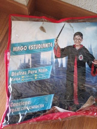 Disfraz de Harry Potter