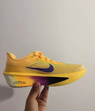 T46 Nike Zoom Fly 6