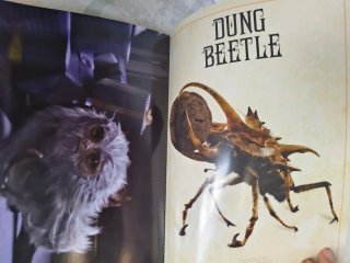 Animales fantásticos y dónde encontrarlos