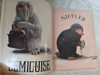 Animales fantásticos y dónde encontrarlos