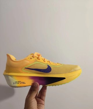 T40 Nike Zoom Fly 6