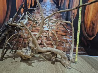 Raíces para acuario