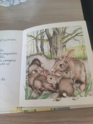 Cuento antiguo El conejo - Colección Animales Amig