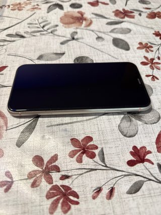 iPhone 11 de 64GB, más 5 fundas para el móvil