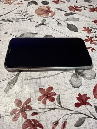iPhone 11 de 64GB, más 5 fundas para el móvil