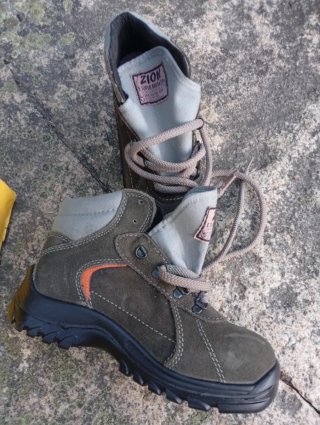 Zapatos de seguridad Zion