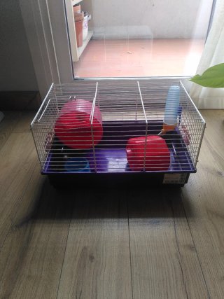 Jaula hamster